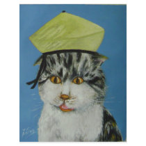 suprised cat flyers