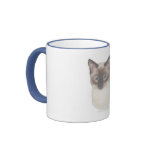 Sur Boo Siamese Mugs