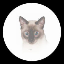 Sur Boo Siamese stickers
