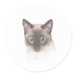 Sur Boo Siamese Round Stickers