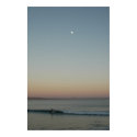 Surf Baja posters