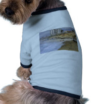 Surf Beaches Ocean Waves La Jolla pet clothing