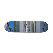 Surf & Fly _Skateboard