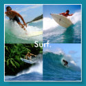 surf for life posters