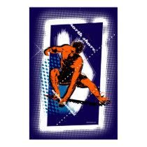 Surf Hawaii Poster posters