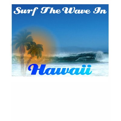 Surf Hawaii T-shirts by burntright
