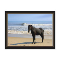Surf Horse Two postcards