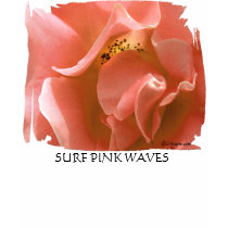 Surf Pink Waves - Rose Petals T-shirt
