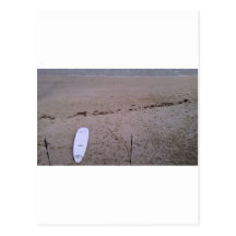 Surf Postcards