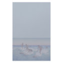 'Surf-Riders, Honolulu' - Stationery