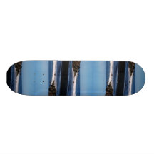 Surf Skateboard