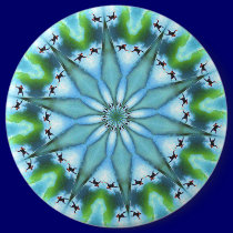 Surf Star Button buttons