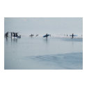 surf washington posters
