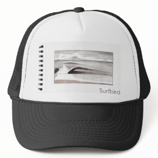 Surfbird AFrames hat