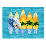 Surfer And Surfboards Postcards