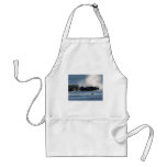 Surfer Apron