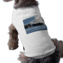Surfer pet clothing