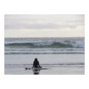 Surfer Girl posters