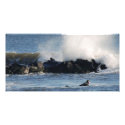 Surfer photo cards by creative_eye Surfer photo cards