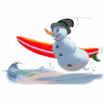 sUrFeR sNoWmAn photo sculptures by raycasso sUrFeR sNoWmAn photo sculptures