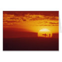 Surfer Sunset Card