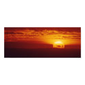 Surfer Sunset posters