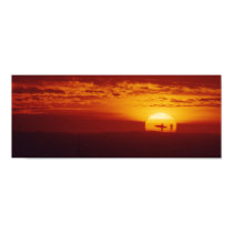 Surfer Sunset posters