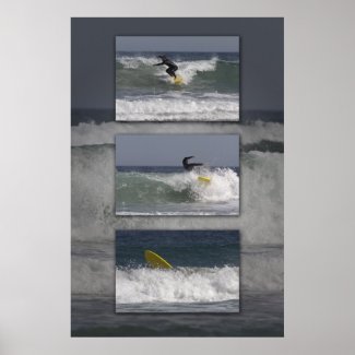 Surfer Triptych print