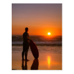 Surfer watching the waves postcards