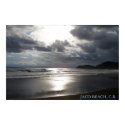 Surfers Paradise posters