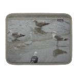 Surf'in Sea Gulls at Port San Luis, California Macbook Sleeves