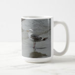 Surf'in Sea Gulls at Port San Luis, California mugs