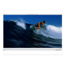 Surfing Birds Post Cards