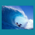 Surfing Dolphins posters
