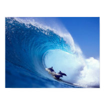 Surfing Dolphins posters