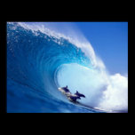 Surfing Dolphins Posters