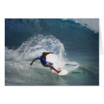 Surfing Ferinds Cards