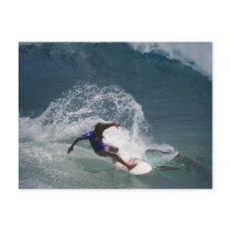 Surfing Ferinds postcards by RW_IMAGES Surfing Ferinds postcards