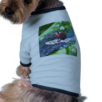 Surfing Fun pet clothing by Linny3D Surfing Fun pet clothing