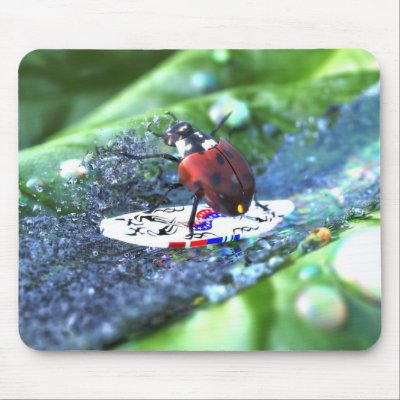 surfing_fun_mousepad-p144294235024239111trak_400.jpg