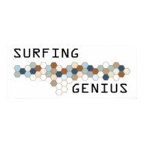Surfing Genius posters