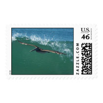 Surfing Pelican Postage postage by farmer77 Surfing Pelican Postage postage