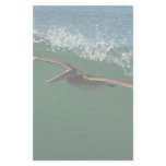 Surfing Pelican Stationery