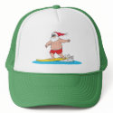 Surfing Santa Hat hat