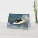 Surfing Scottish Terrier card