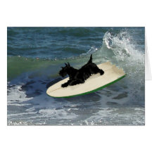 Surfing Scottish Terrier Greeting Cards