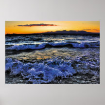 Surf's Up Havasu Posters
