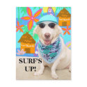 SURF'S UP! postcards by myrtieshuman SURF'S UP! postcards