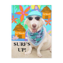SURF'S UP! postcards