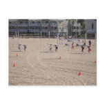 Surfs Up Postcard